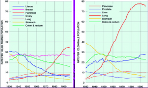Cancer Rates Since 1930